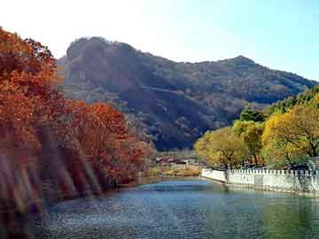 新澳天天开奖资料大全旅游团，湖南三维动画制作